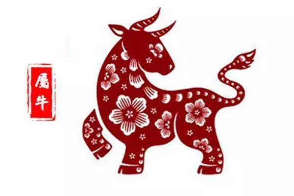 【蘇民峰】2019年豬年生肖運程完整版,今年你會走什麼鴻運?