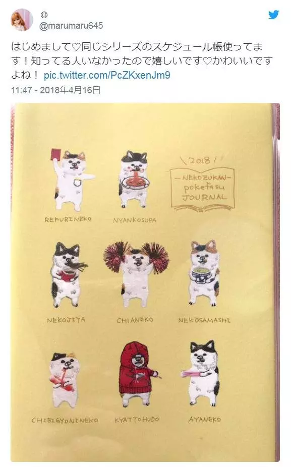 買面紙套上面是「噴鼻水的貓」 網瘋傳「不正經動物刺繡」:超ㄎㄧㄤ啦~