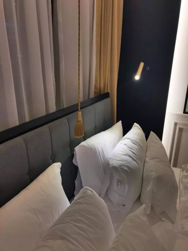 16個比肚子裡的蟲還了解我們的「超貼心飯店設計」 向孤單的旅客出租金魚!