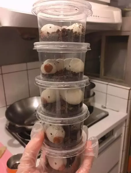 廚房堆滿一盒盒「雞母蟲」 親友看到全噁吐...她哭:這是紅豆麻糬HEN好吃啊T_T