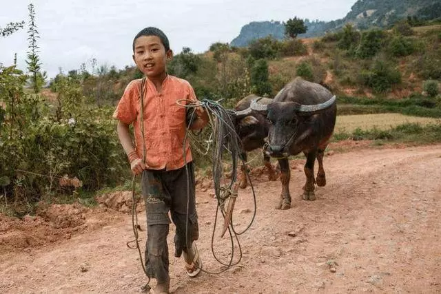 6歲兒子每到半夜就往奶奶房間裡跑,我起疑,扒門縫一看,當場落淚