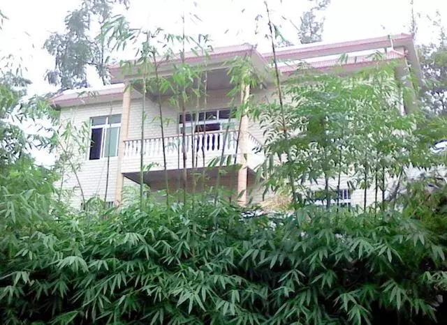 岳母進城照顧懷孕老婆,臨走,我媽玉鐲丟失,打開抽屜我眼眶濕了