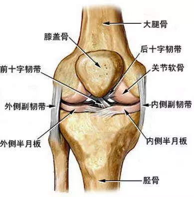 朋友告訴爸爸走路經常腿打軟?4個木瓜有效減輕膝關節炎