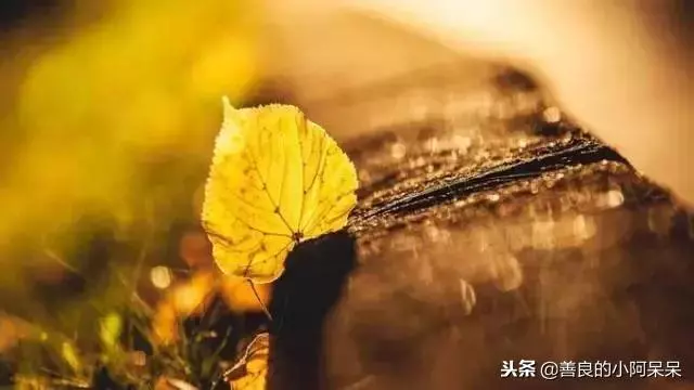 告訴孩子：這四種情況下，千萬不要善良！（值得收藏） 