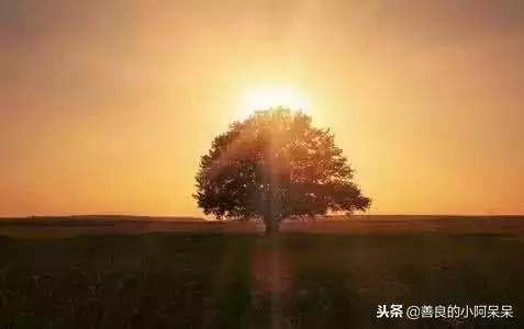 告訴孩子：這四種情況下，千萬不要善良！（值得收藏） 