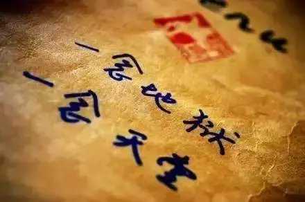 深信因果吧!大蟒蛇被抓後,竟幻化成人,曝光前世來求救……有圖有真相!