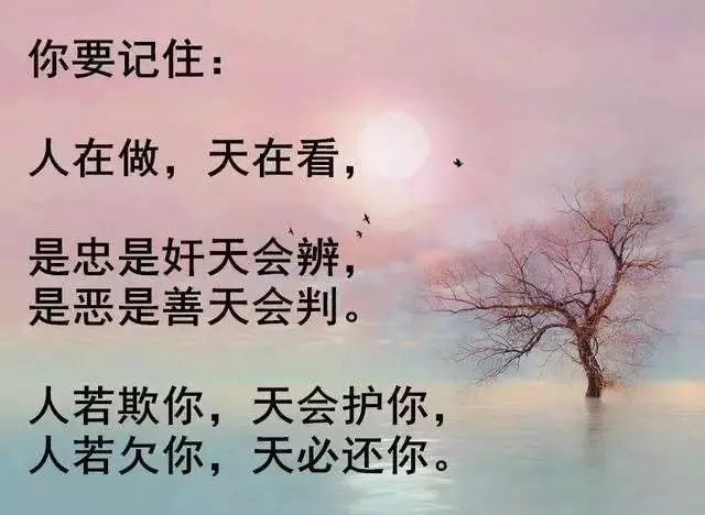 深信因果吧!大蟒蛇被抓後,竟幻化成人,曝光前世來求救……有圖有真相!