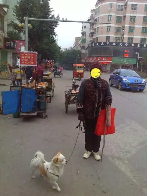 8旬老人花100萬把自己的兒子送人,可她兒子竟然是條狗