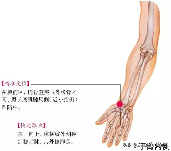 「一天一個保健穴」關節疼痛找太淵