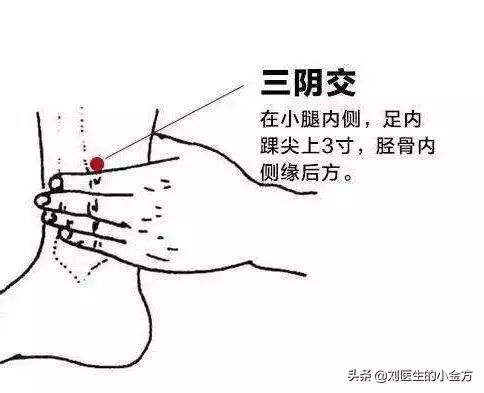 「一天一個保健穴」關節疼痛找太淵