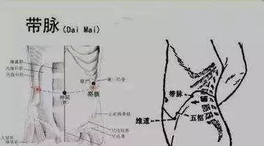 「帶脈」的循行與各經脈的關係如何?