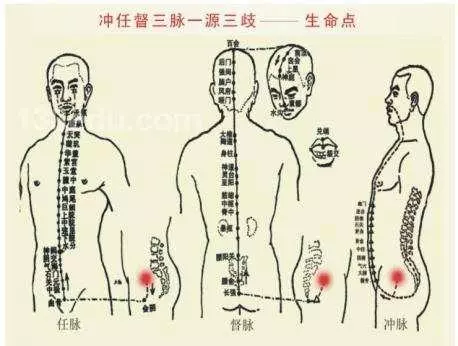 「帶脈」的循行與各經脈的關係如何?
