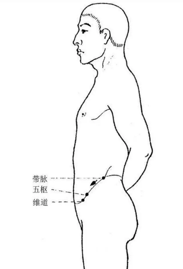 「帶脈」的循行與各經脈的關係如何?