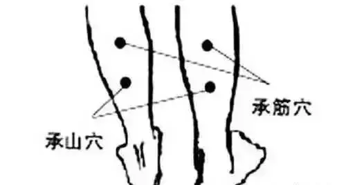 身體「第二心臟」!把它練好了,全身好!收了吧!