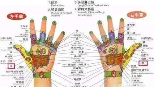 大肚子不用愁,每天甩手5分鐘,肚子小了,腰更細了,瘦腰瘦肚子,還能強心臟、緩解關節疼痛!