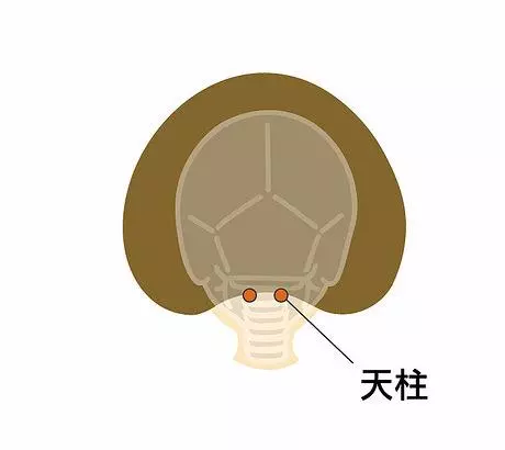 眼睛過勞誘發肩頸酸痛!眼科醫:按4處一次舒緩