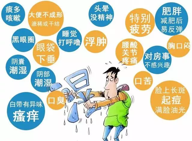 養生專家:體內濕氣重,艾灸3穴、常飲1水、多做1事,慢慢排濕