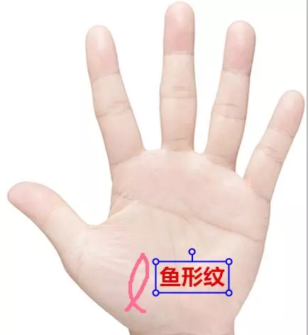 這十種手紋之人,此生註定有房有車!