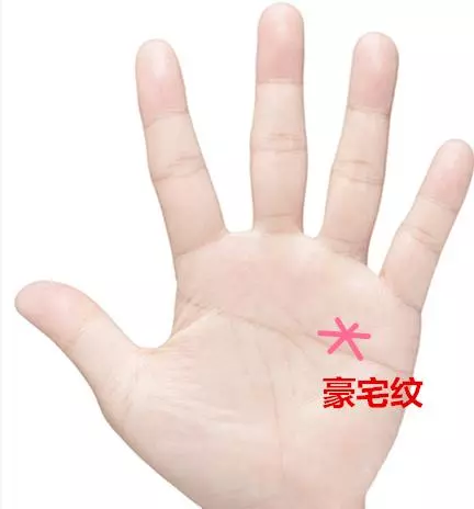 這十種手紋之人,此生註定有房有車!