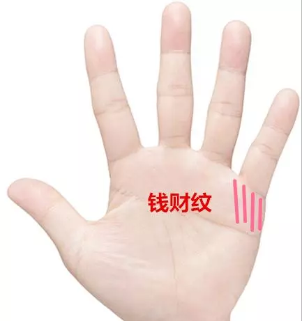 這十種手紋之人,此生註定有房有車!