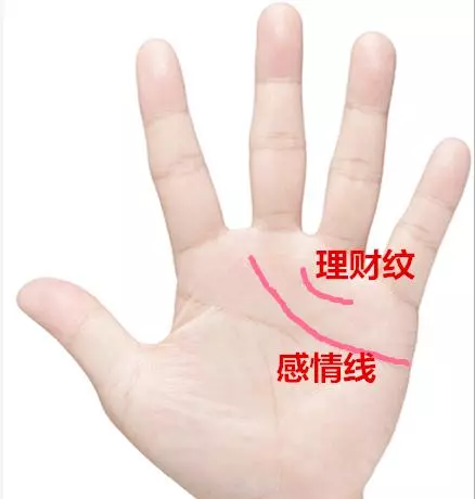 這十種手紋之人,此生註定有房有車!