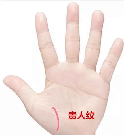 這十種手紋之人,此生註定有房有車!