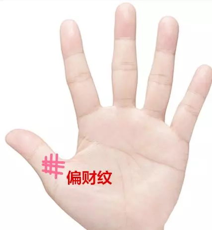 這十種手紋之人,此生註定有房有車!