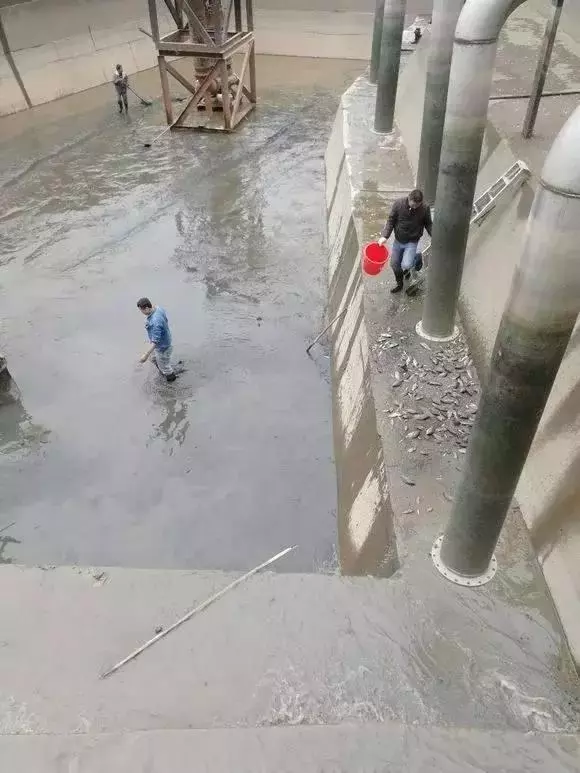 自來水廠蓄水池,年底清汙,水一抽乾時,竟然有這麼多的....大家都傻眼了!