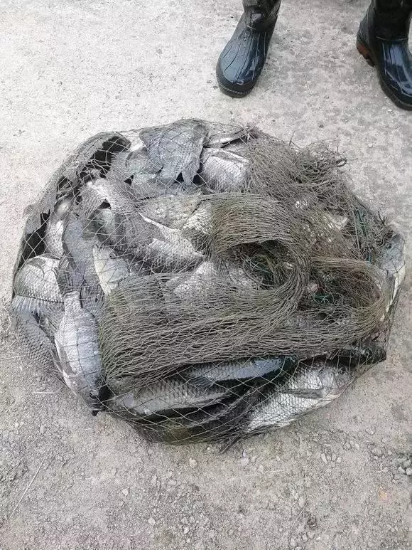 自來水廠蓄水池,年底清汙,水一抽乾時,竟然有這麼多的....大家都傻眼了!