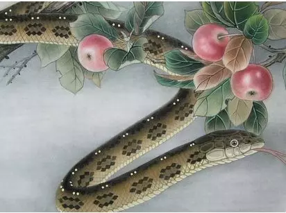 很多人都不知道,蛇進家為什麼不能打?