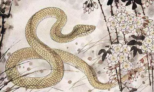 很多人都不知道,蛇進家為什麼不能打?
