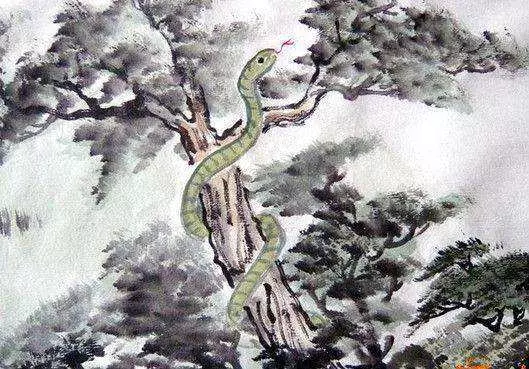 很多人都不知道,蛇進家為什麼不能打?