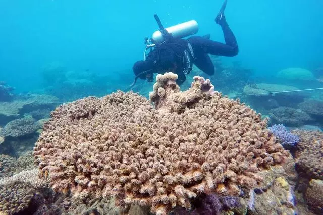海洋變暖速度破了紀錄,人類還能愉快地吃海鮮嗎?