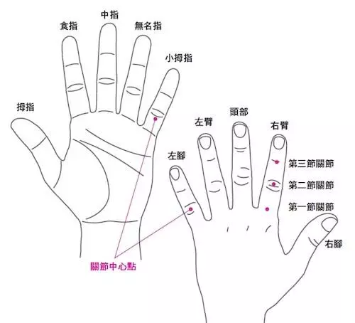 手掌與內臟相應!手療專家教你拍手、甩手照顧全身