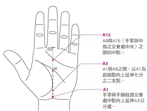 手掌與內臟相應!手療專家教你拍手、甩手照顧全身
