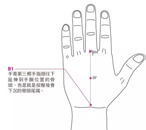 手掌與內臟相應!手療專家教你拍手、甩手照顧全身