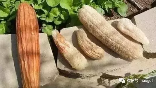 筋軟一寸,壽增十年,把腳筋變軟的方法您一定要知道!