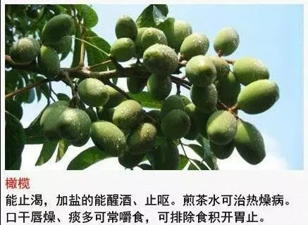 1種水果治1種病,缺啥補啥,有啥治啥,厲害了,存起來,好好看