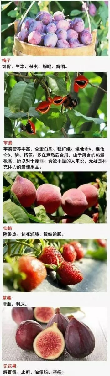1種水果治1種病,缺啥補啥,有啥治啥,厲害了,存起來,好好看