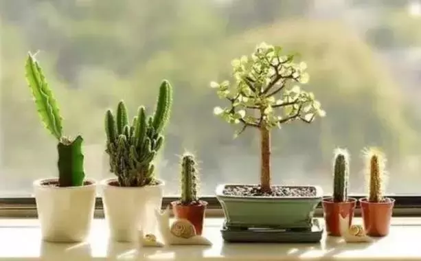 時間,會留下最真的人