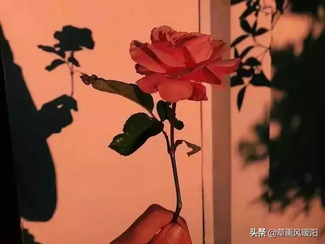 女人,懂得取悅自己,才是人生的高配!