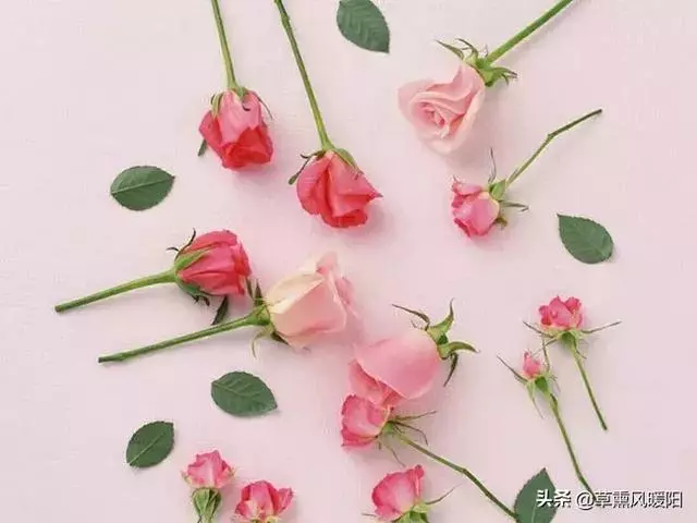 女人,懂得取悅自己,才是人生的高配!