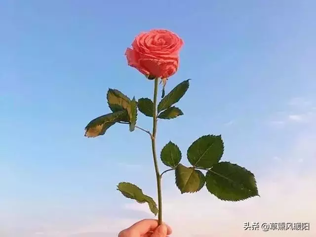 女人,懂得取悅自己,才是人生的高配!