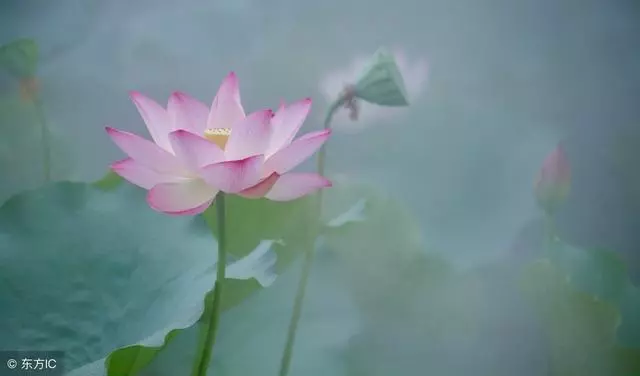 不要等到失去,才懂得珍惜