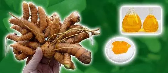 薑黃的這5種吃法,幫你輕鬆打擊關節炎、預防老年癡呆、降血糖,醫生都說好