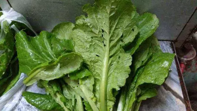 母親進城帶一袋子菜,被兒子扔掉,兒媳又撿了回來