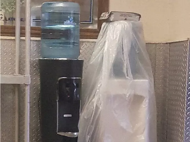 20張「純屬巧合」的荒謬爆笑照片 鳥竟然和飛機衝一樣快!