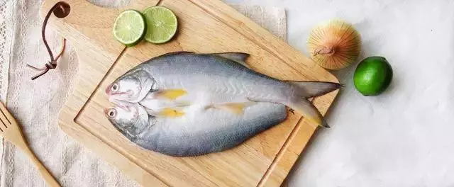 馬友魚:排名第一好吃的海魚,號稱魚類中的「千層糕」!