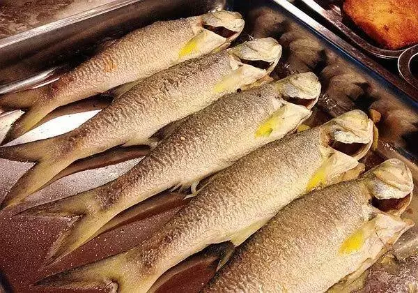 馬友魚:排名第一好吃的海魚,號稱魚類中的「千層糕」!