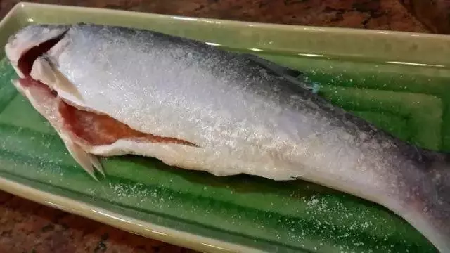 馬友魚:排名第一好吃的海魚,號稱魚類中的「千層糕」!
